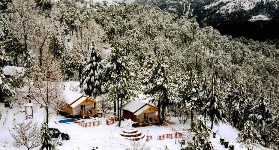 Himgiri Nature Retreat, Rajgarh, Solan 2